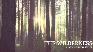 thewildernessseries